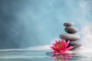 rocks with pink flower