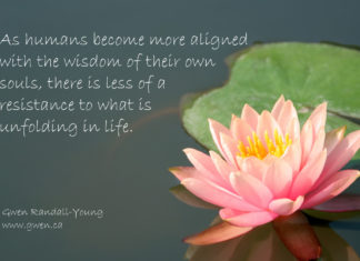 Wisdom of Soul