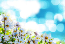 Ask Gwen: Happiness vs Money