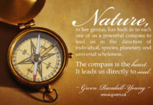 Universal Wholeness