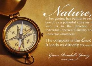 Universal Wholeness