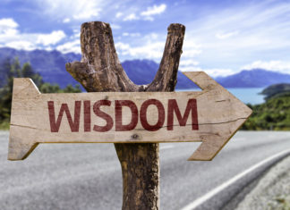 Choosing Wisdom Over Polarity