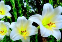 Ask Gwen: Lasting Self-Care