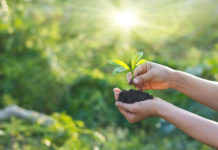 Mind Ecology: Thoughts That Can Help Us or Hurt Us