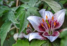 Improving Relationships With Adult Children